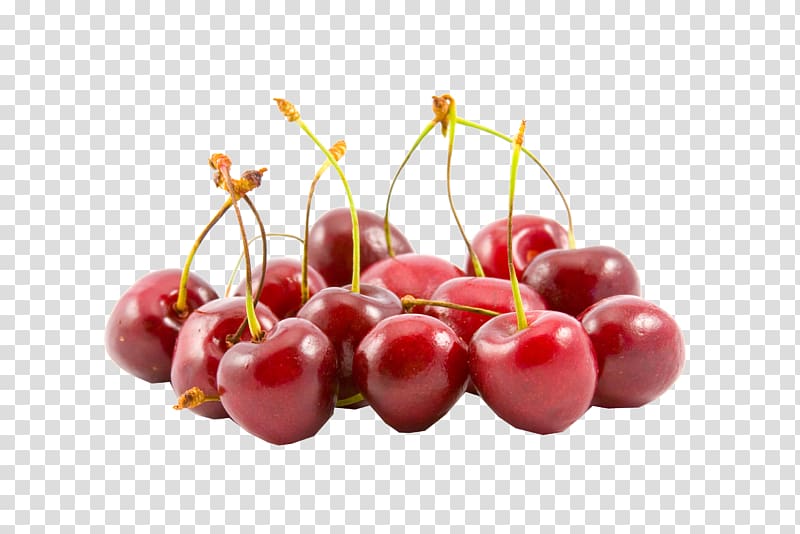 Sour Cherry Fruit Berry Sweet Cherry, cherry transparent background PNG clipart