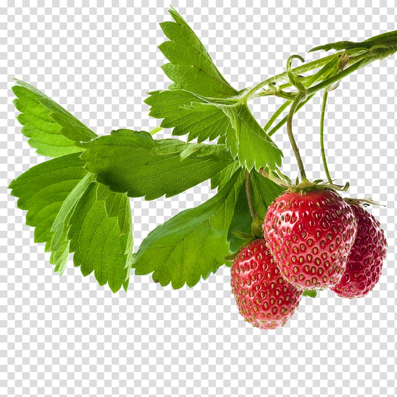 Strawberry Food Fruit, strawberry transparent background PNG clipart