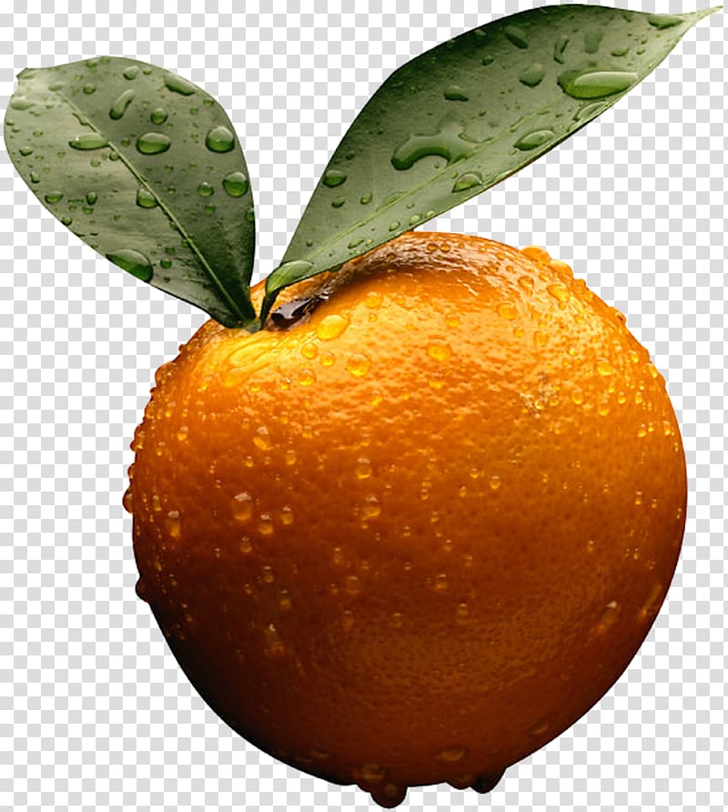 Clementine Tangerine Citrus × sinensis Volkamer lemon Tangelo, Orange , free transparent background PNG clipart