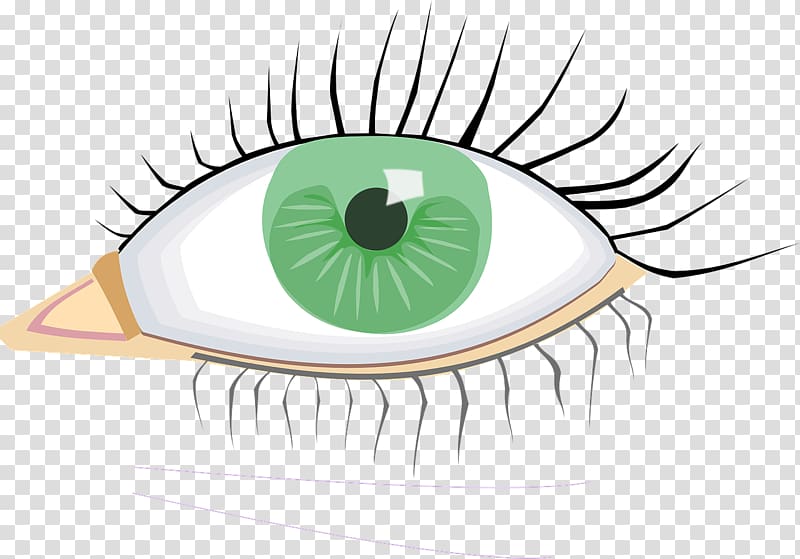 Eye injury Iris, Eye transparent background PNG clipart