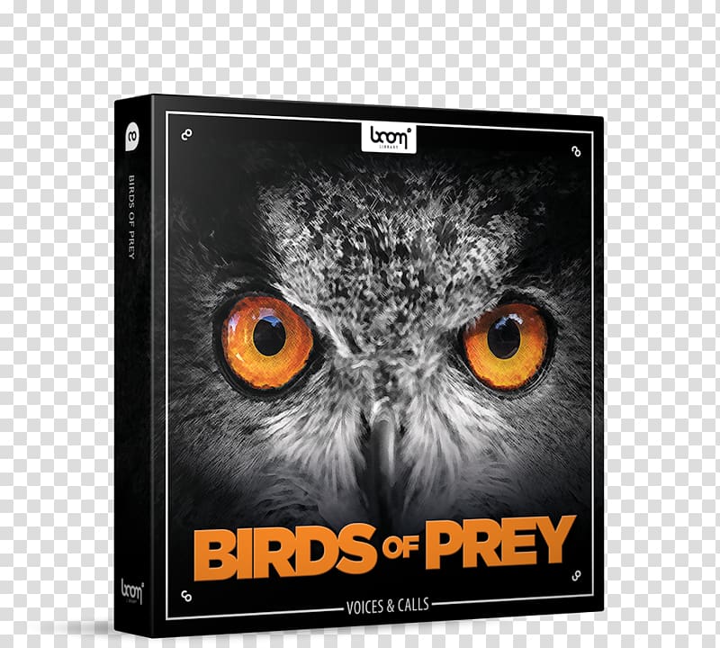 Bird of prey Owl Sound Effect, Bird transparent background PNG clipart