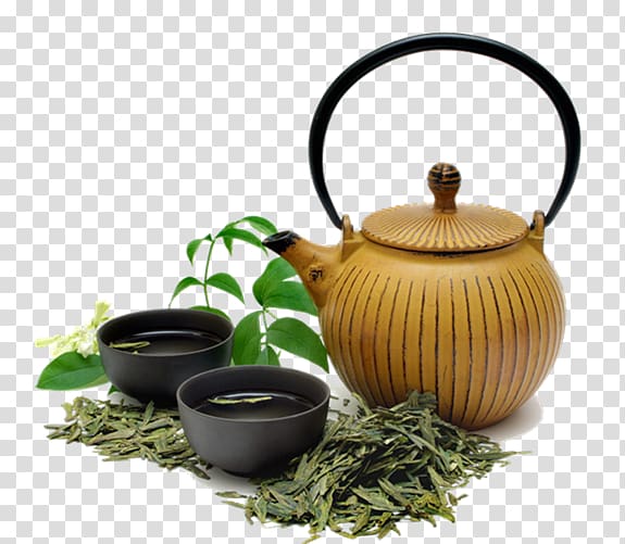 Green tea Oolong White tea Kuding, tea transparent background PNG clipart