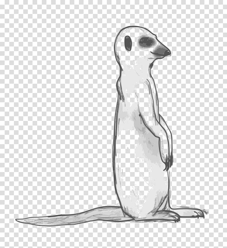 Meerkat Drawing , others transparent background PNG clipart