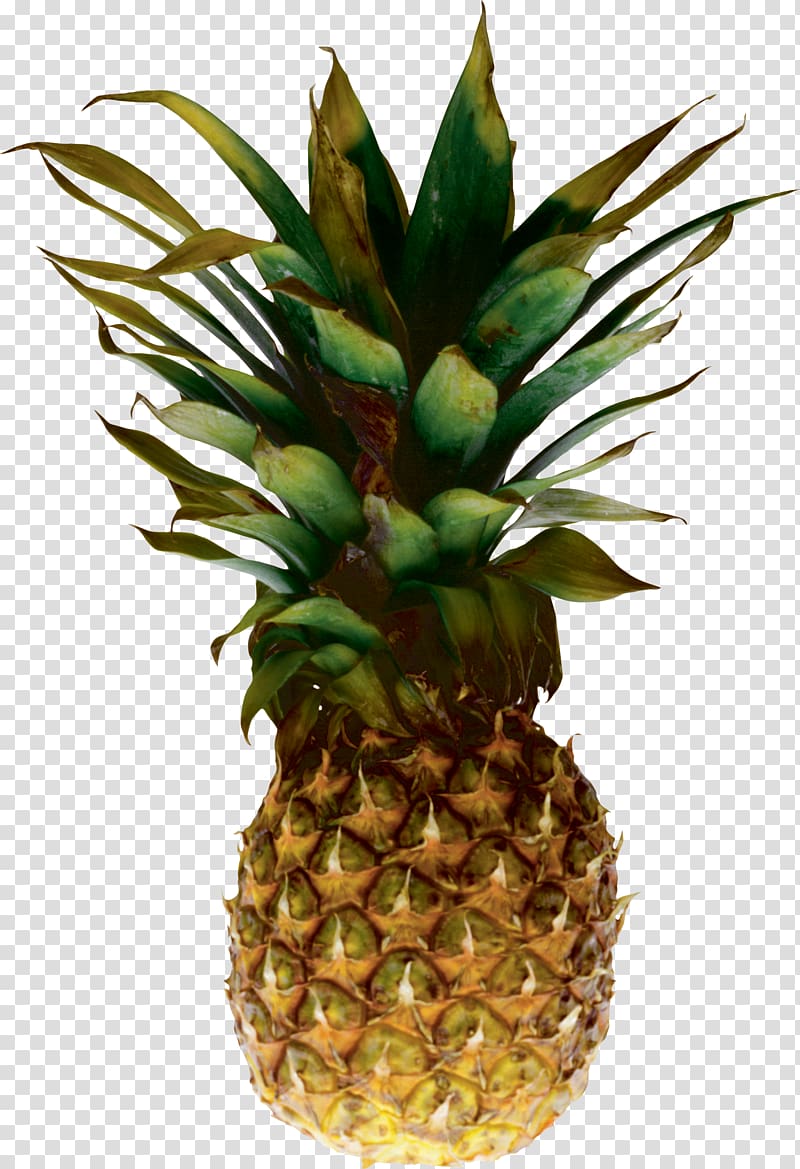 Pineapple transparent background PNG clipart