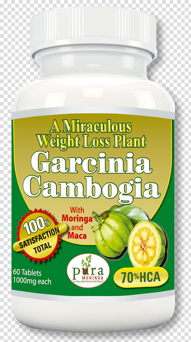 Dietary supplement Garcinia cambogia Drumstick tree Food Weight loss, moringa leaves transparent background PNG clipart