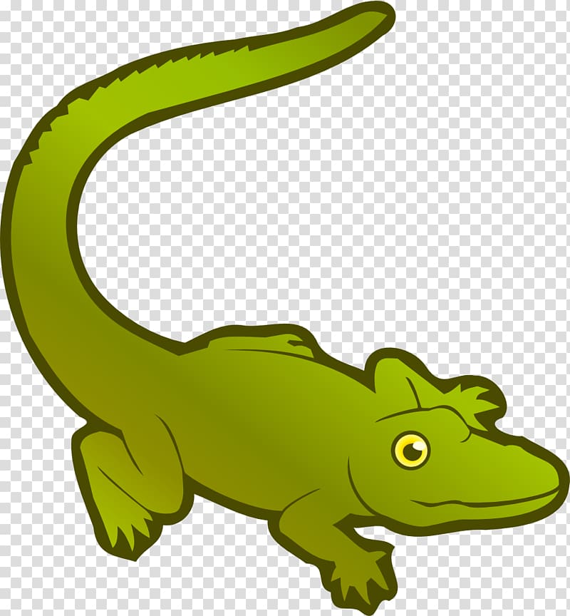 Crocodiles American alligator Chinese alligator , crocodile transparent background PNG clipart