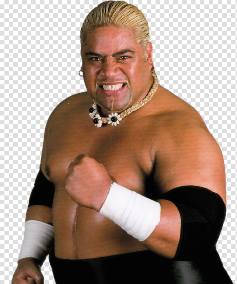 Rikishi WWE Hall of Fame Professional wrestling Too Cool, wwe transparent background PNG clipart