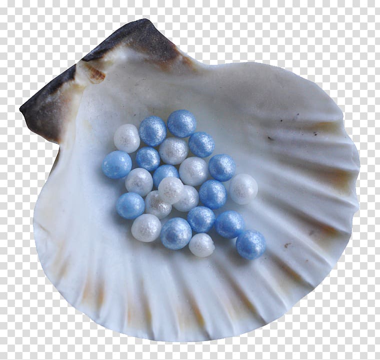 Seashell Pearl , Pearl shell transparent background PNG clipart