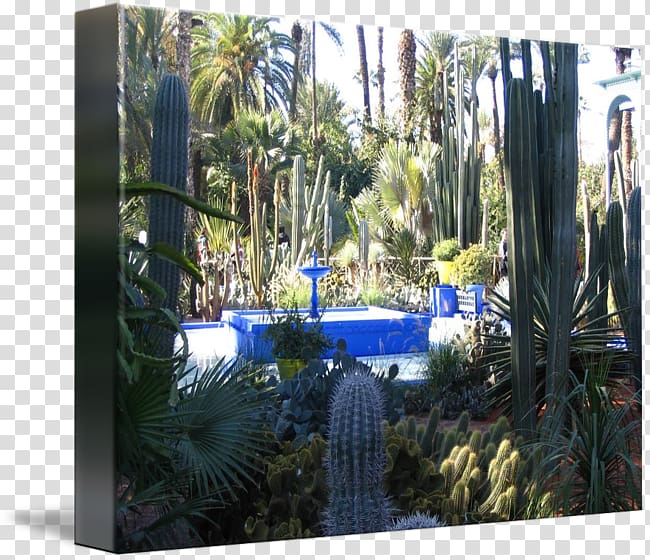 Majorelle Blue Majorelle Garden Landscape Landscaping Tree, tree transparent background PNG clipart