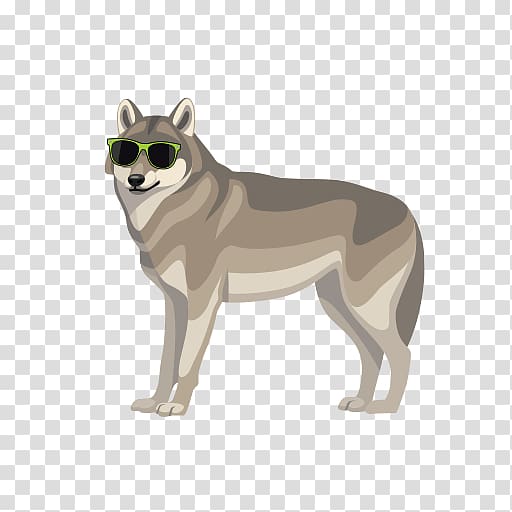 Saarloos wolfdog Czechoslovakian Wolfdog Siberian Husky Dog breed, Craniofacial Surgery transparent background PNG clipart