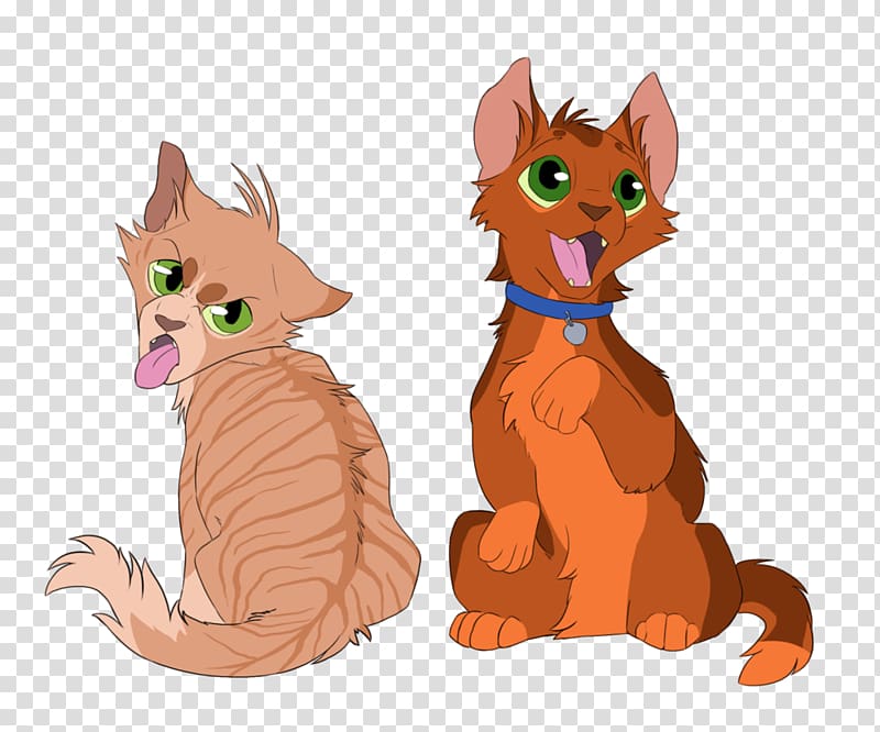 Into the Wild Cat Warriors Firestar Sandstorm, Cat transparent background PNG clipart