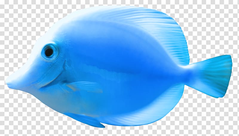 blue fish , FNaF World Bluefish Fishing, Fish 2 transparent background PNG clipart
