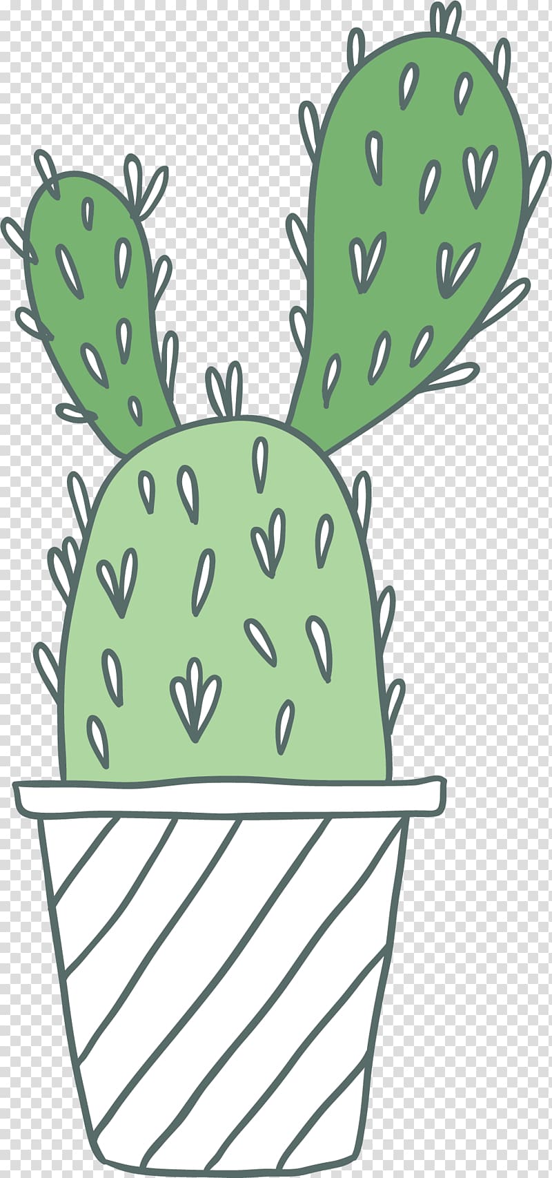 Cactaceae , hand-painted green cactus transparent background PNG clipart