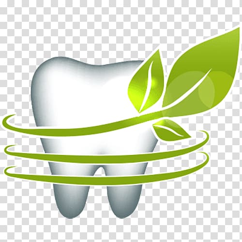 Human tooth Euclidean Leaf Dentistry, Leaves surround the teeth transparent background PNG clipart