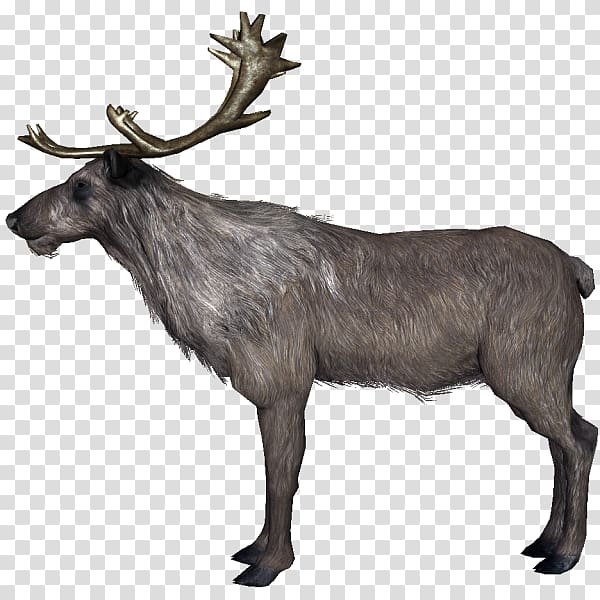 Reindeer Food chain The Elder Scrolls V: Skyrim Antler, Reindeer transparent background PNG clipart