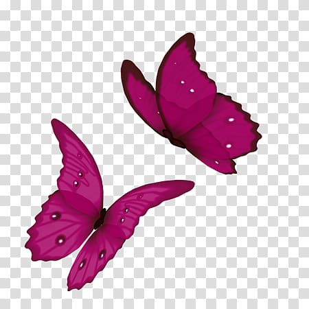 Animated film Rose Butterfly, rose transparent background PNG clipart