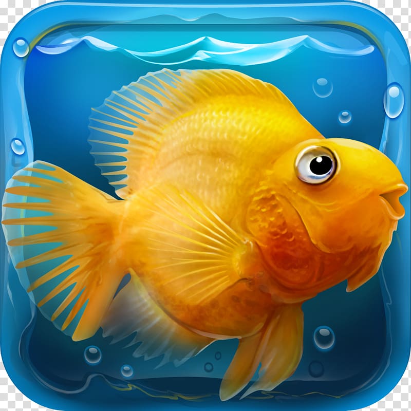 iQuarium relaxing game Android, Aquarium transparent background PNG clipart