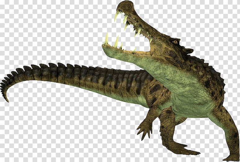 Crocodile Sarcosuchus Kaprosuchus Alligator Camptosaurus, boar transparent background PNG clipart