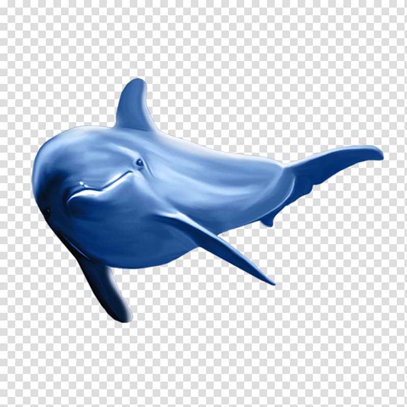 Common bottlenose dolphin Tucuxi Dolphin, Dolphin River dolphin, whale transparent background PNG clipart