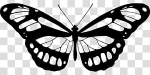 Butterfly Printmaking Art Wall decal Painting, butterfly transparent background PNG clipart thumbnail