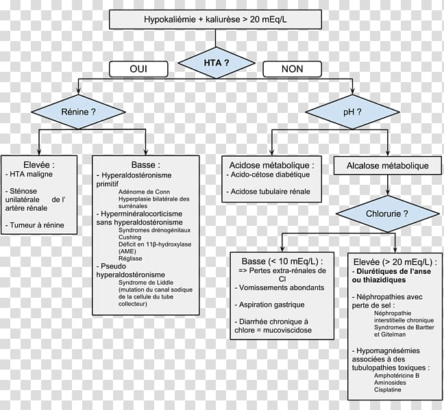 Diagnose Hypokalemia Hypercalcaemia Hyponatremia Arterial blood gas test, blood transparent background PNG clipart