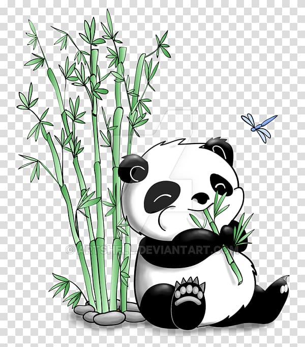 Giant panda Bamboo Drawing Bear , eating transparent background PNG clipart
