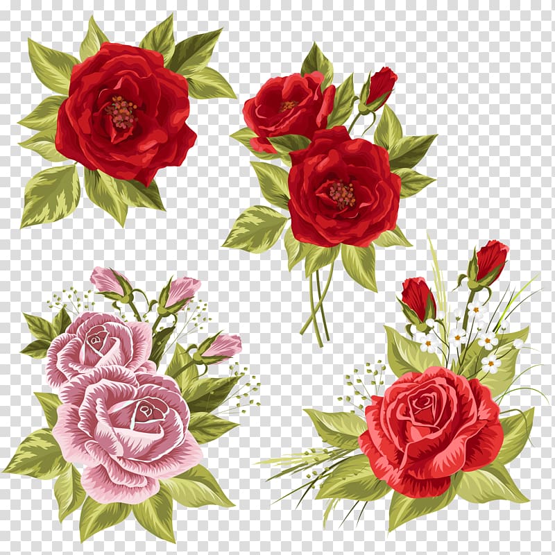 red and pink rose flowers illustration, Garden roses Wedding invitation Centifolia roses Beach rose, rose transparent background PNG clipart