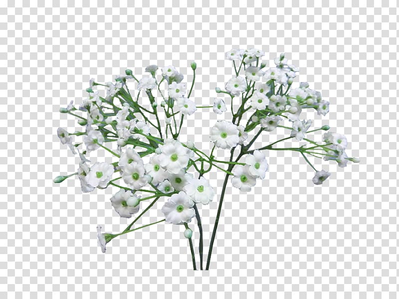 white flowers, Flower bouquet Baby\'s-breath Infant Artificial flower, baby breath transparent background PNG clipart