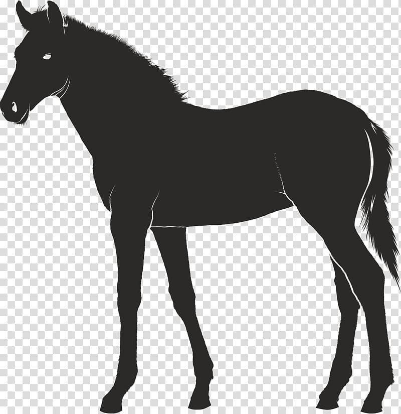 Foal Konik Pony, carousel horse transparent background PNG clipart