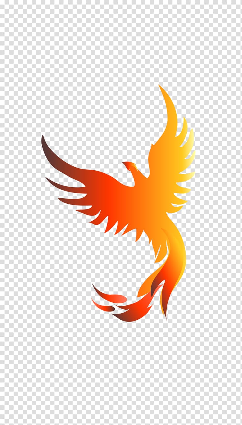 orange and red phoenix illustration, Phoenix , Phoenix transparent background PNG clipart