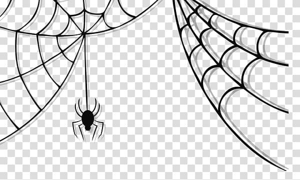 spider web spider transparent background PNG clipart