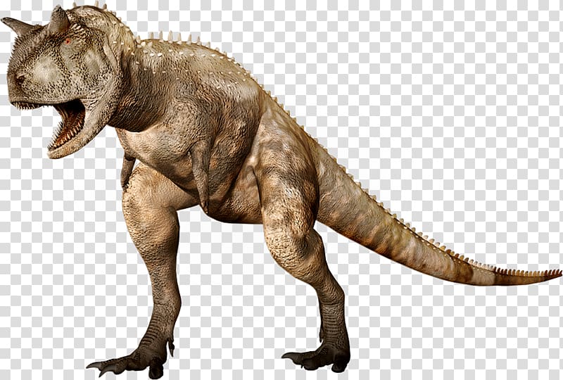 Carnotaurus Tyrannosaurus Ceratosaurus Abelisaurus Dinosaur, dino transparent background PNG clipart