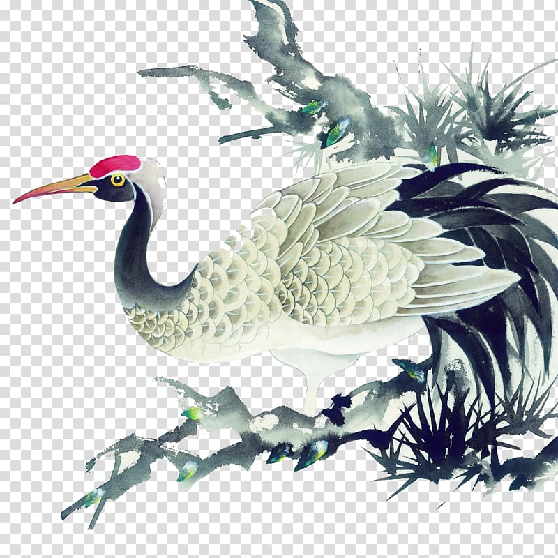 red-crowned crane transparent background PNG clipart