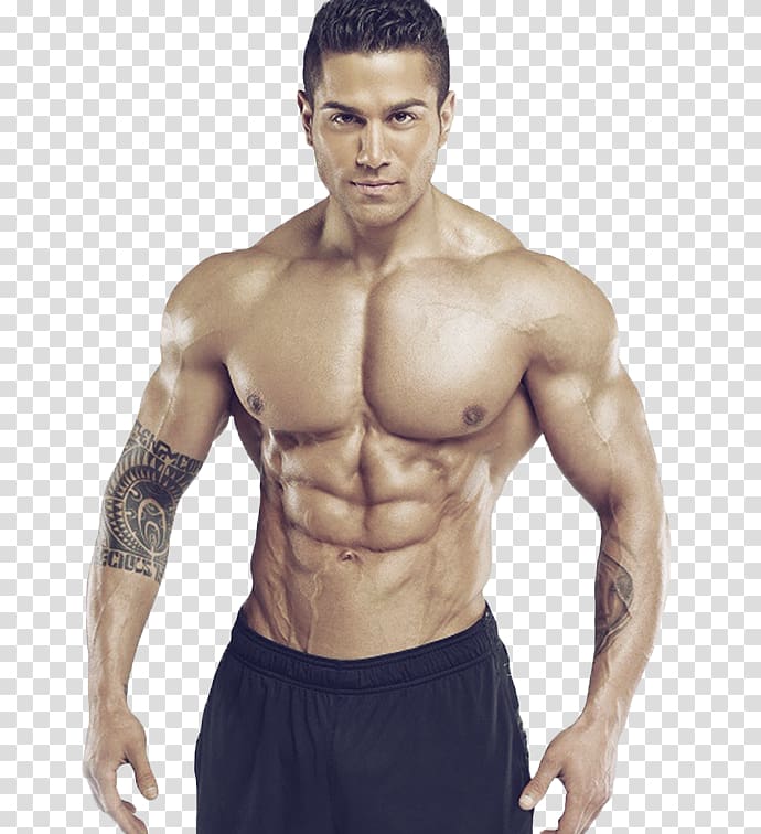 Bodybuilding Physical fitness Arm Biceps curl Shoulder, athlete transparent background PNG clipart