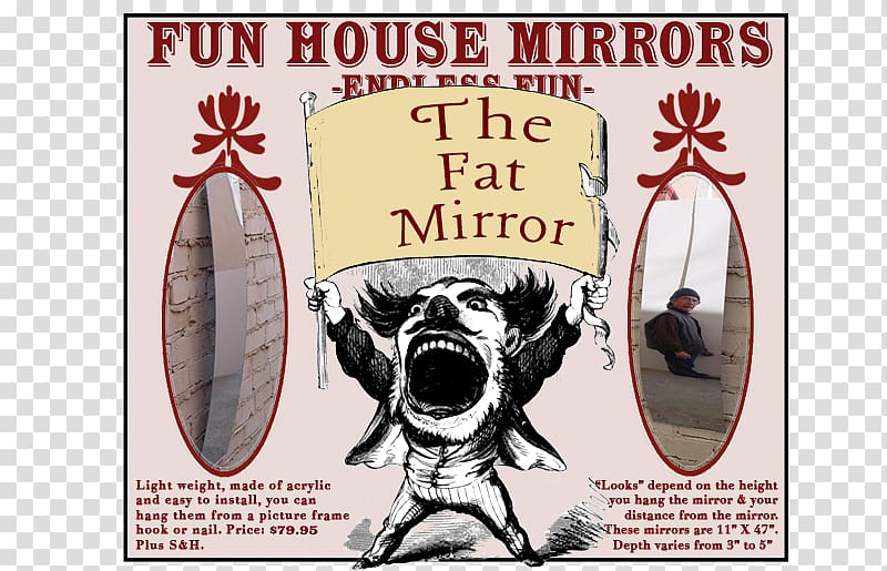 Distorting mirror House of mirrors Mirror Konvexspiegel, mirror transparent background PNG clipart