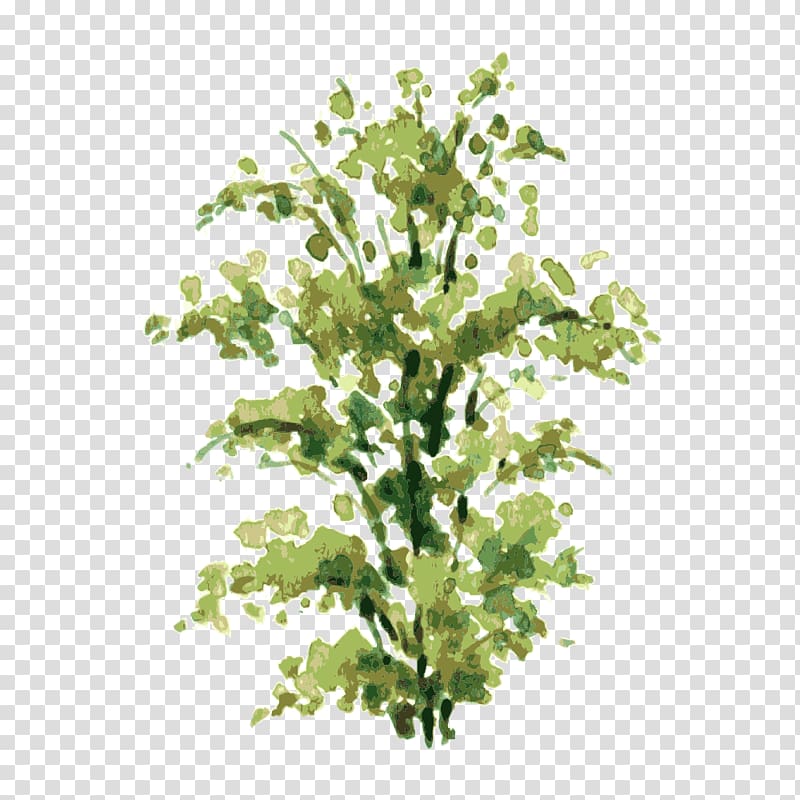 green leaf painting, Watercolor painting Shrub Drawing Illustration, tree,Trees transparent background PNG clipart