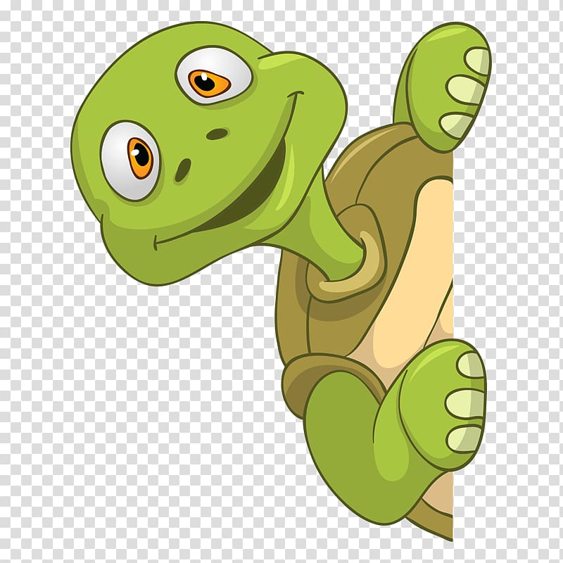 Turtle , Glamour transparent background PNG clipart