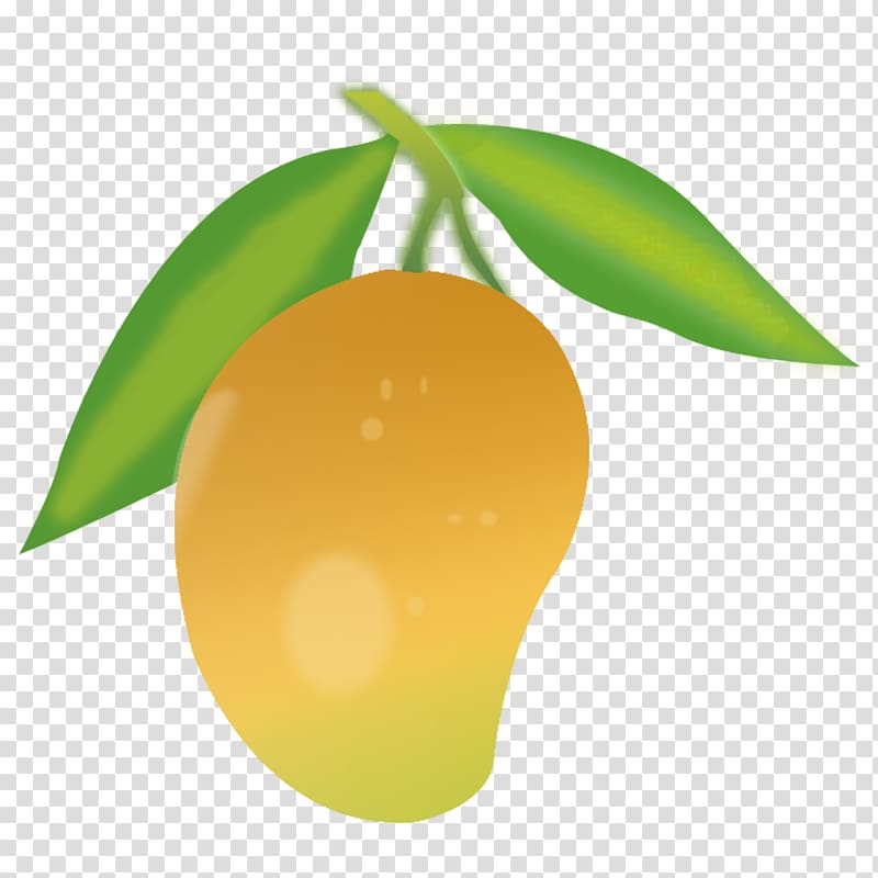 Mango , green mango transparent background PNG clipart