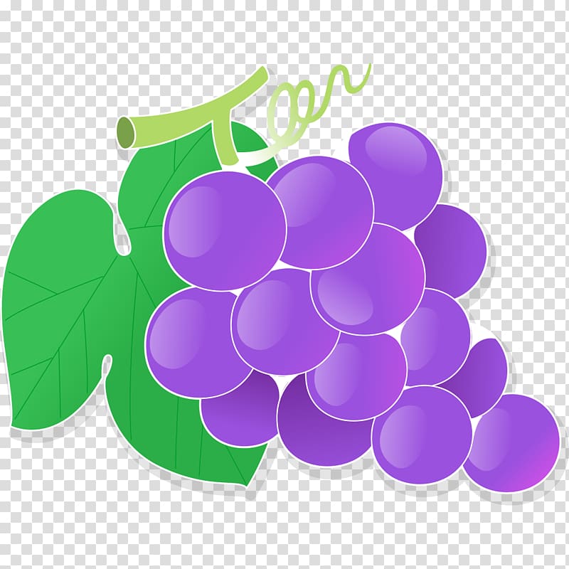 Rainbow gradient line drawing cartoon bunch of grapes ~ Clip Art #112444039
