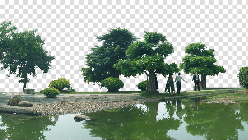 trees around pond clip art