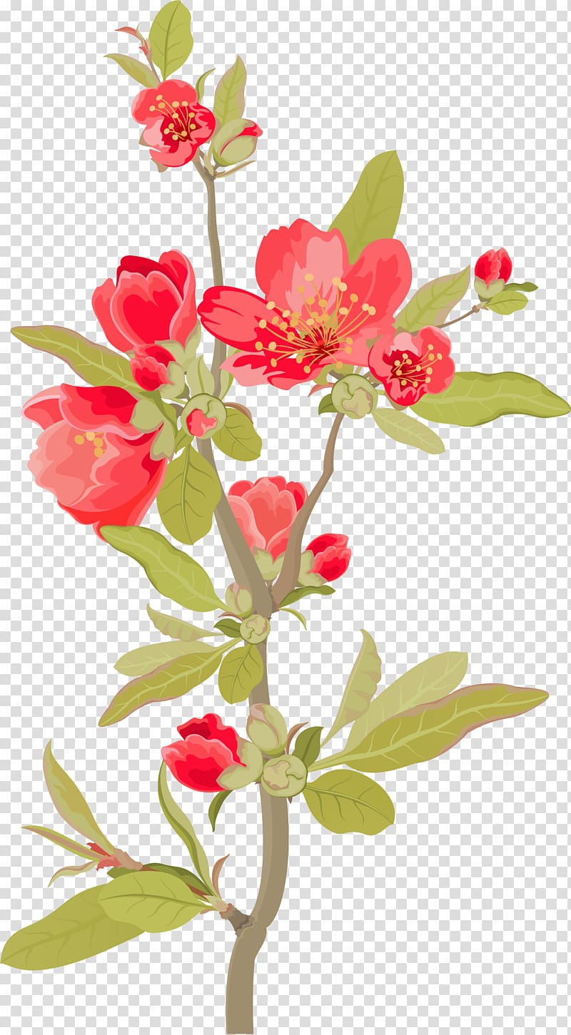 Floral design Film poster, magnolia flower branches transparent background PNG clipart