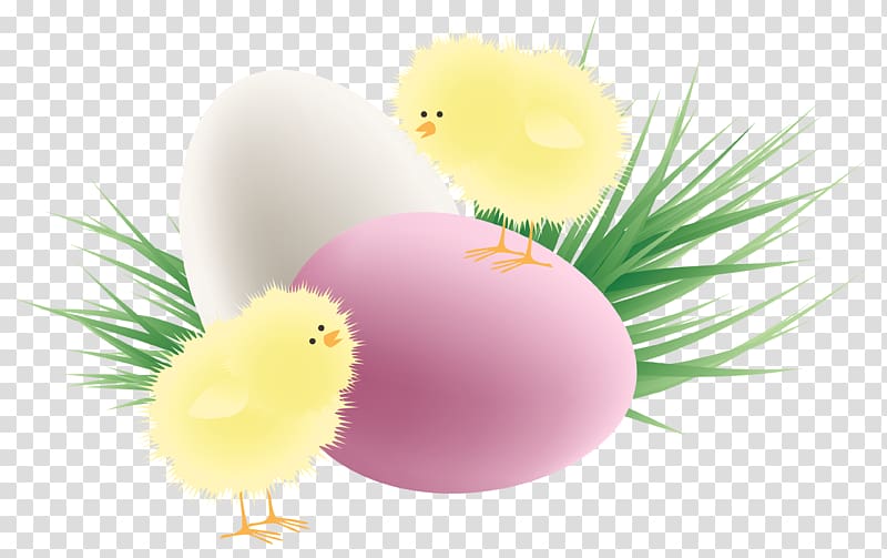 two chicks and two pink and white eggs illustration, Chicken Red Easter egg , Easter Chickens Eggs and Grass transparent background PNG clipart