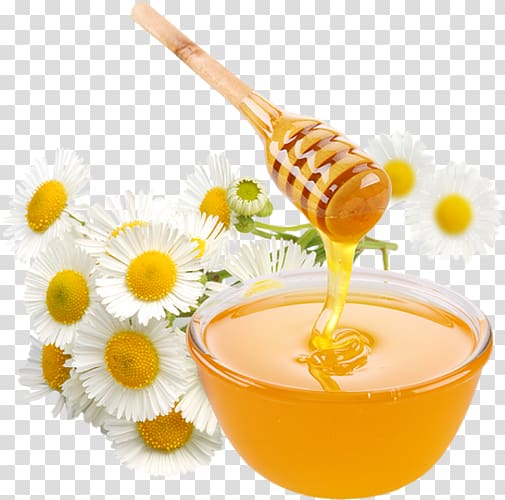 Smoothie Bee Honey Eating Food, bee transparent background PNG clipart