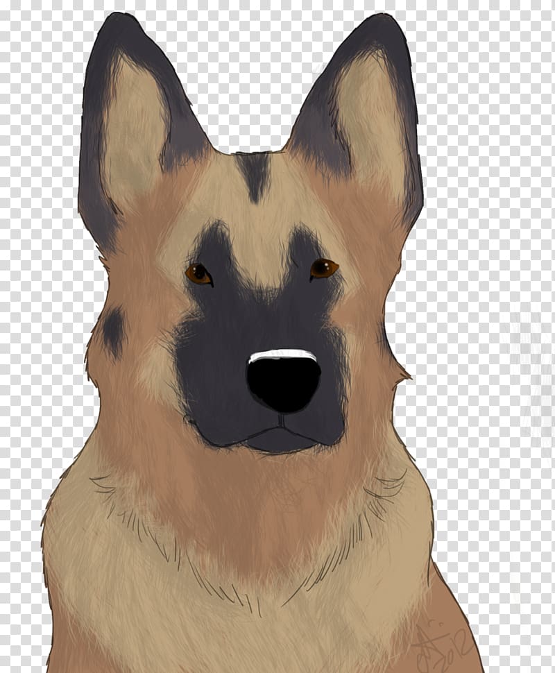 Dog breed Canaan Dog German Shepherd Whiskers Snout, Gunner transparent background PNG clipart