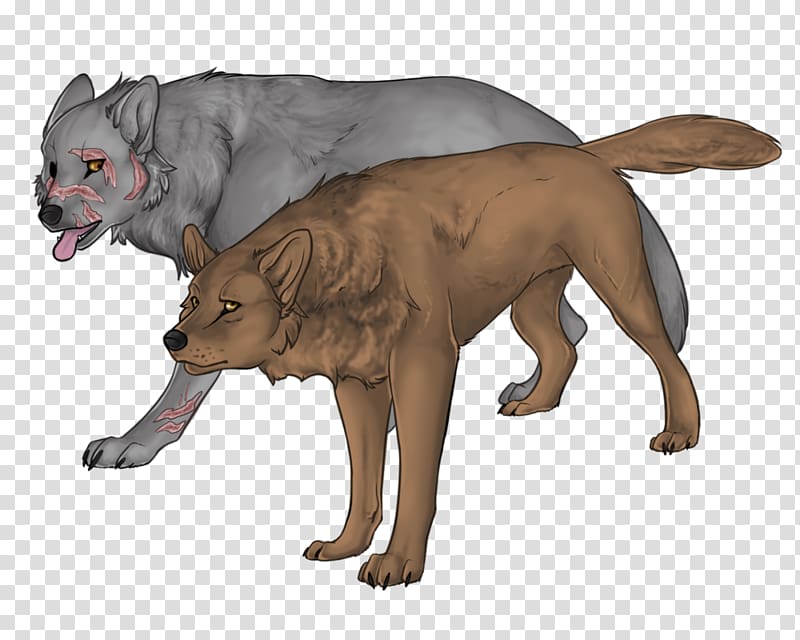 White Fang The Call of the Wild Animal German Shepherd, beaver transparent background PNG clipart
