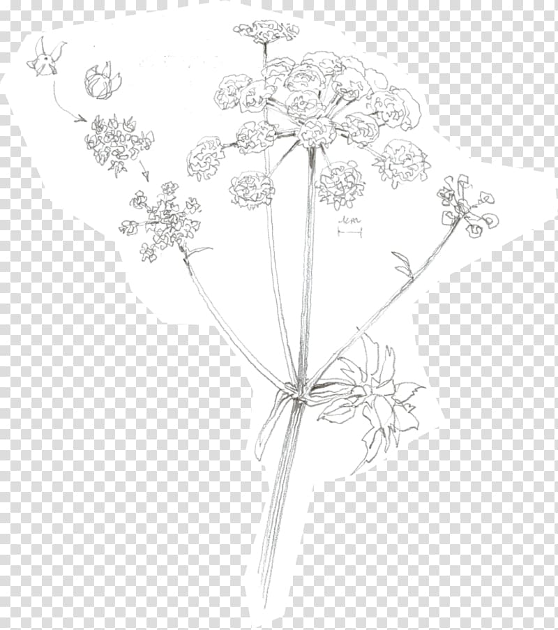 Petal Floral design White Symmetry Pattern, Leaf transparent background PNG clipart