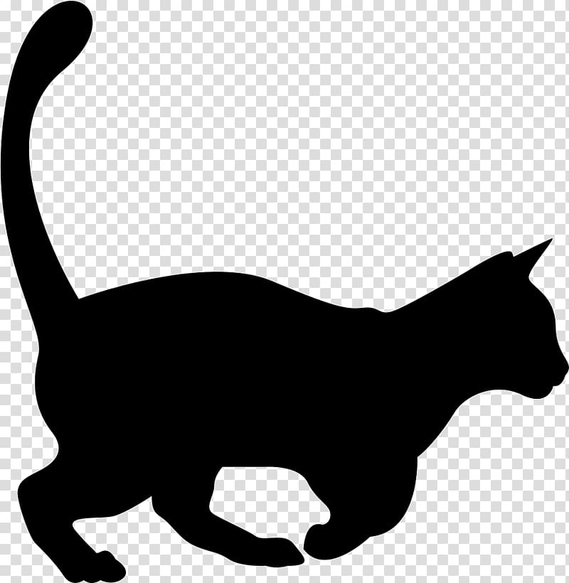 Exotic Shorthair Computer Icons, shape transparent background PNG clipart
