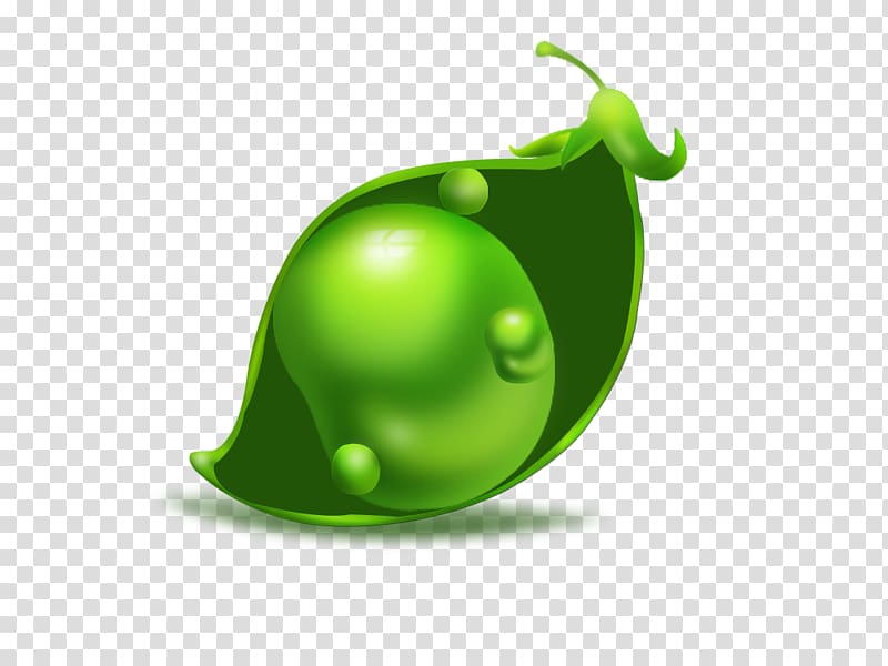 Pea Green bean Common Bean, pea transparent background PNG clipart