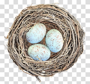 Golden Eggs In Birds Nest PNG Transparent And Clipart Image For Free  Download - Lovepik