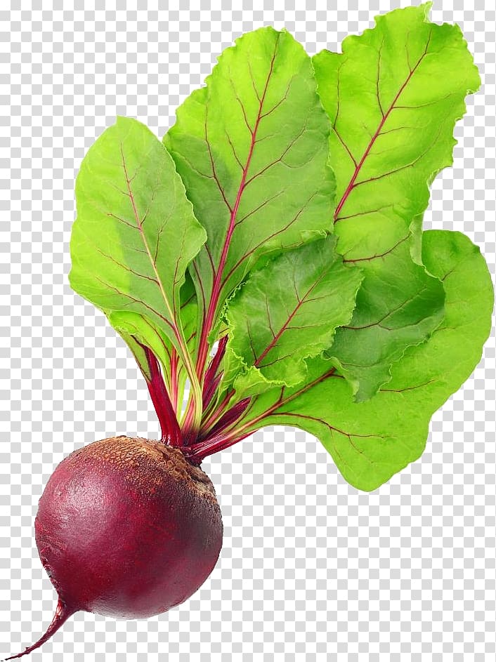red onion illustration, Chard Beetroot Vegetable Food Vegetarian cuisine, Beet transparent background PNG clipart